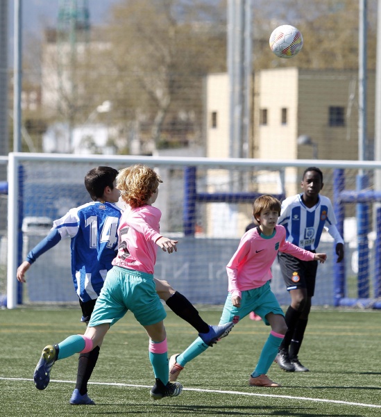 Resultados del fútbol base