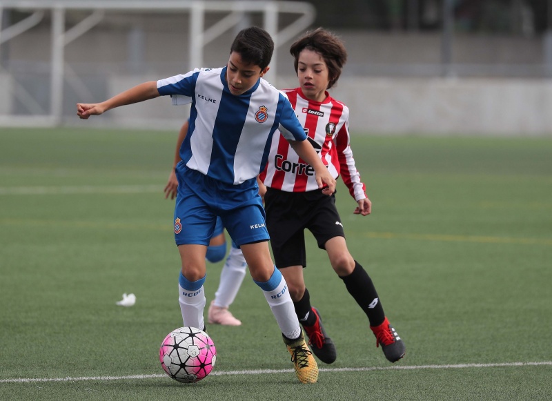 Resultats del futbol base i femení